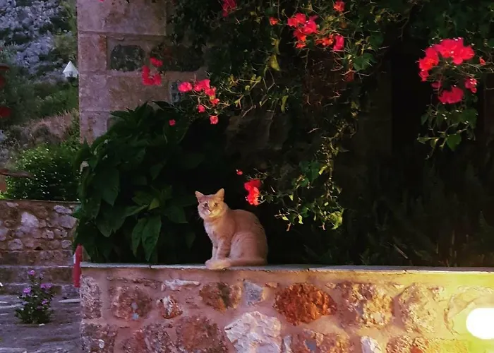 Gæstehus Lithochtisto 3*