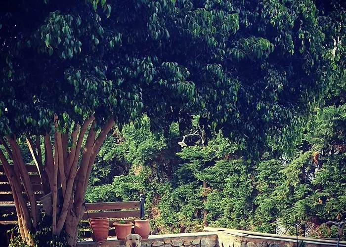 بيت ضيافة Lithochtisto